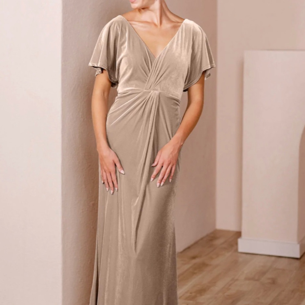 Revelry Gwen Velvet Dress in Champagne 602 (size 6)